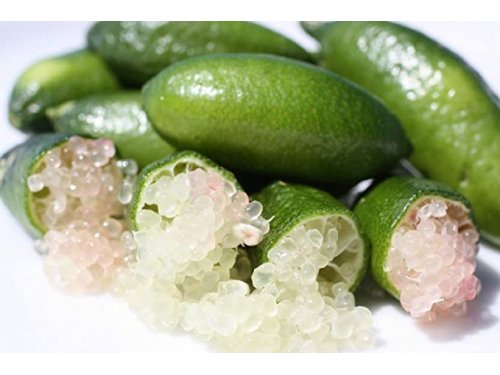 Agromarket hellas Kolovos Finger Lime (lemon caviar)
