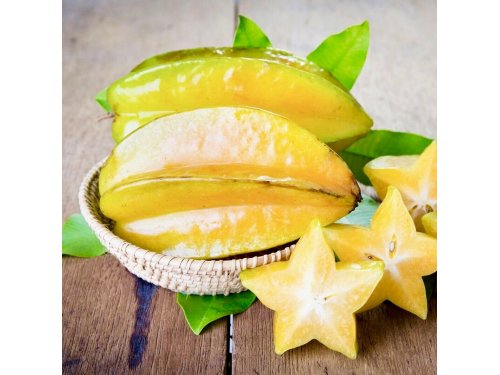 Agromarket hellas Kolovos Carambola Starfruit εμβολιασμένα