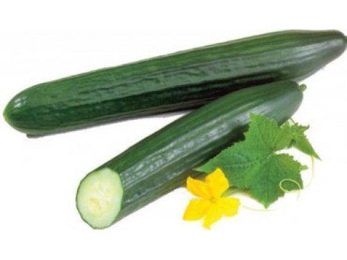 Agromarket hellas Kolovos 12 grafted PINDOS F1 cucumbers