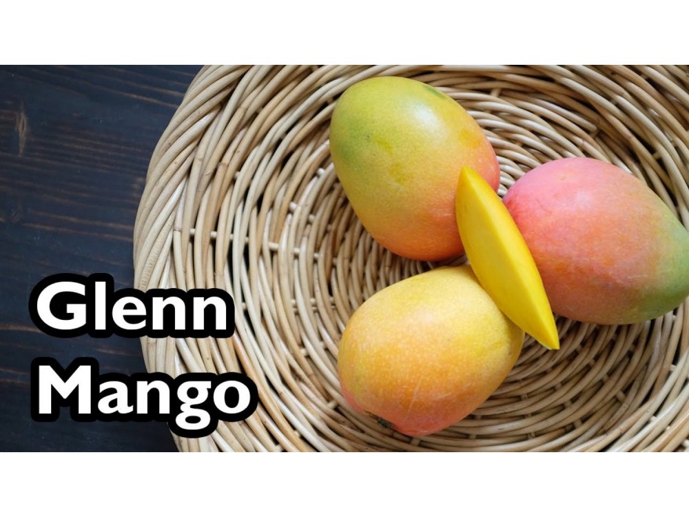 Mango Gleen