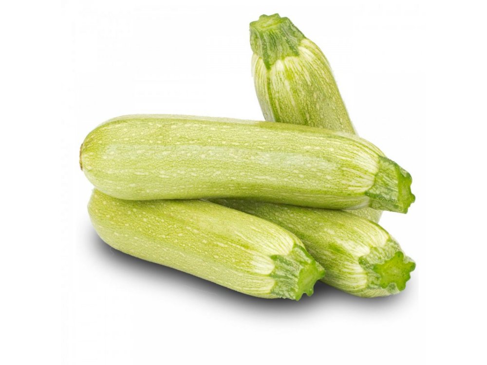 Hybrid zucchini