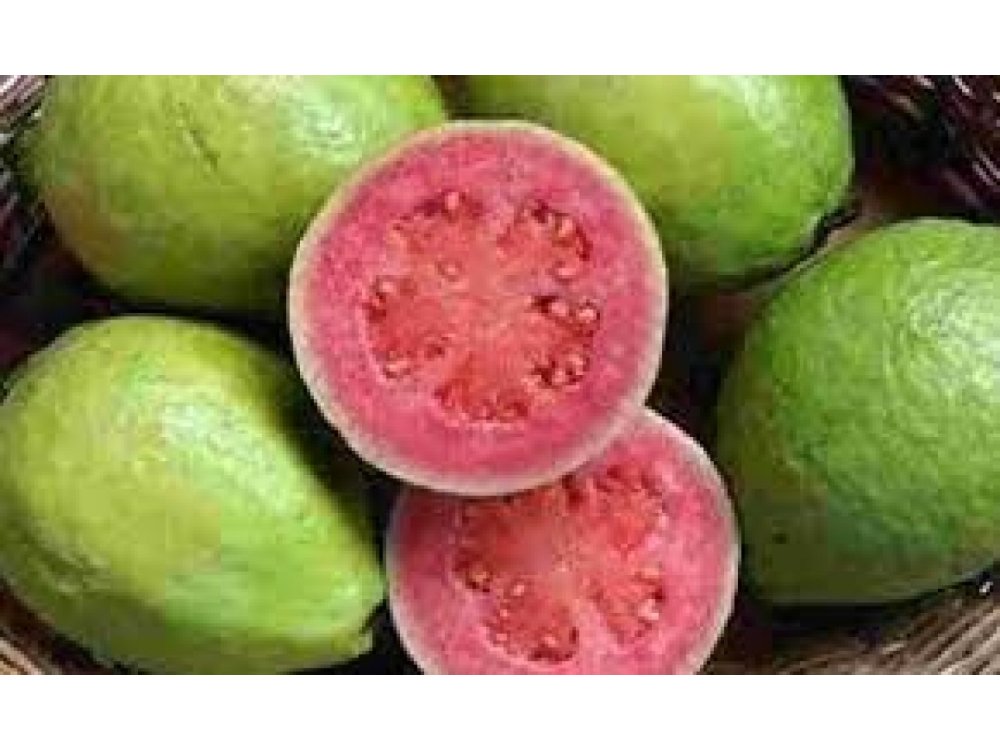 Guava Pink Taiwan ®