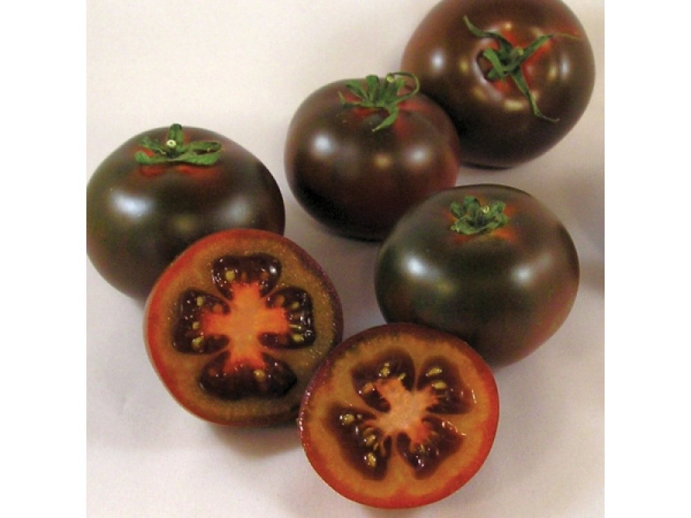20 Black Tomato plants