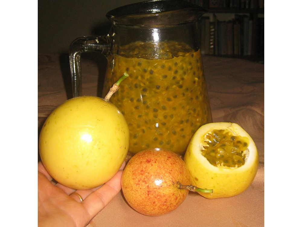 Yellow Jumbo Passion Fruit (Passiflora flavicarpa)