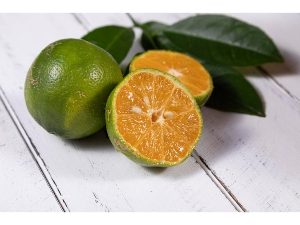 Lemandarin ™ Rangpur Lime ™ (C.limetta rossa)