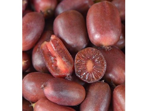 Agromarket hellas Kolovos Scarlet September™ (kiwi berry) 