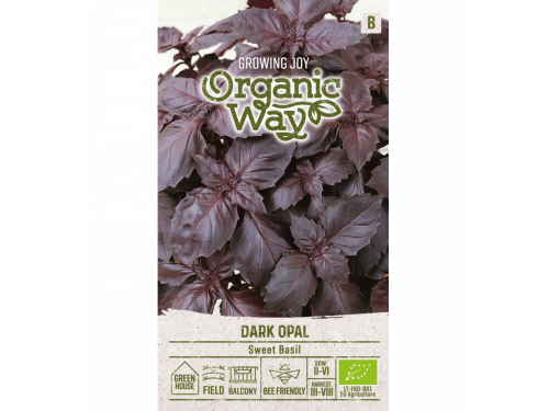 Agromarket hellas Kolovos BASIL DARK OPAL