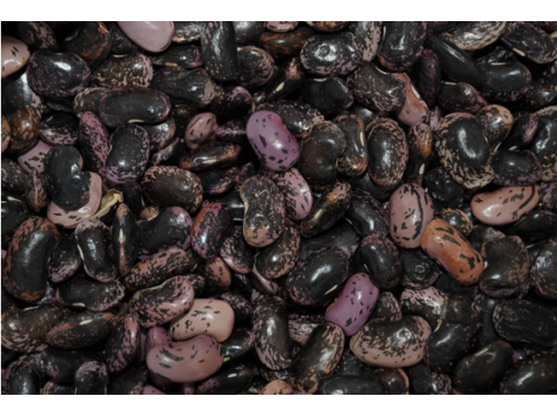 Agromarket hellas Kolovos Black Giant Beans (1 kg)