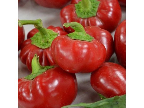 Agromarket hellas Kolovos Κόκκινη Πιπεριά (στρογγυλή)