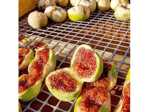 Agromarket hellas Kolovos Kymi figs
