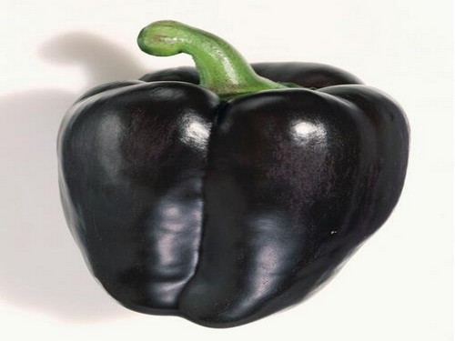 Agromarket hellas Kolovos Black Bell Pepper 