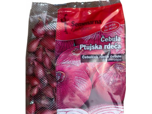Agromarket hellas Kolovos Ptujska Rdeča Pink onion