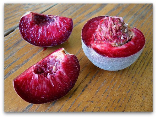 Agromarket hellas Kolovos Vigna (Red Flesh Peach)