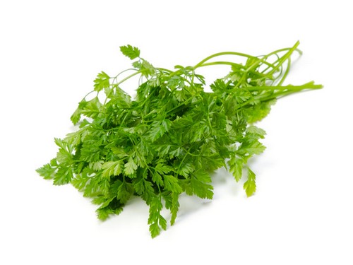 Agromarket hellas Kolovos Chervil (French parsley)
