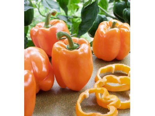 Agromarket hellas Kolovos Orange bell pepper