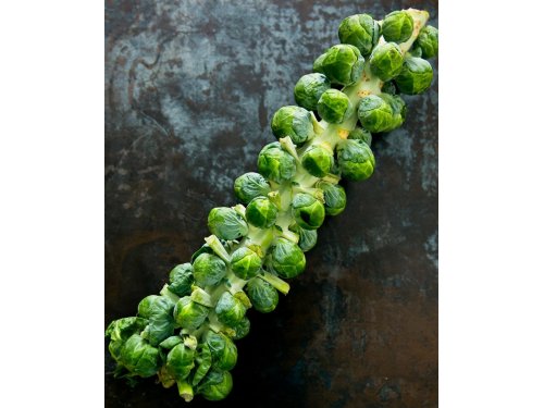 Agromarket hellas Kolovos Brussels Sprouts Green