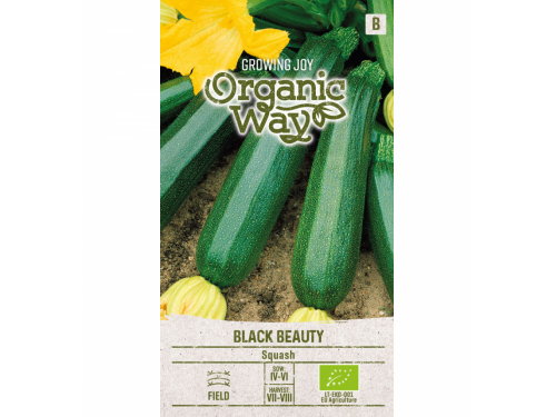 Agromarket hellas Kolovos BLACK BEAUTY Zucchini