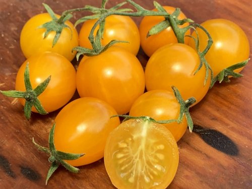 Agromarket hellas Kolovos Yellow tomato cherry