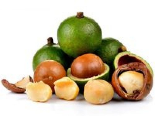 Agromarket hellas Kolovos Macadamia 